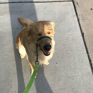 Meet your Posher, Blake